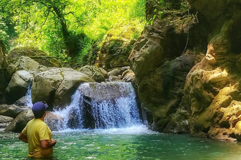 تنگ دار نوشهر