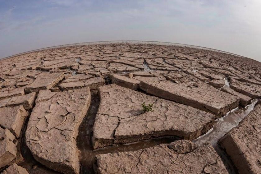 دریاچه هامون