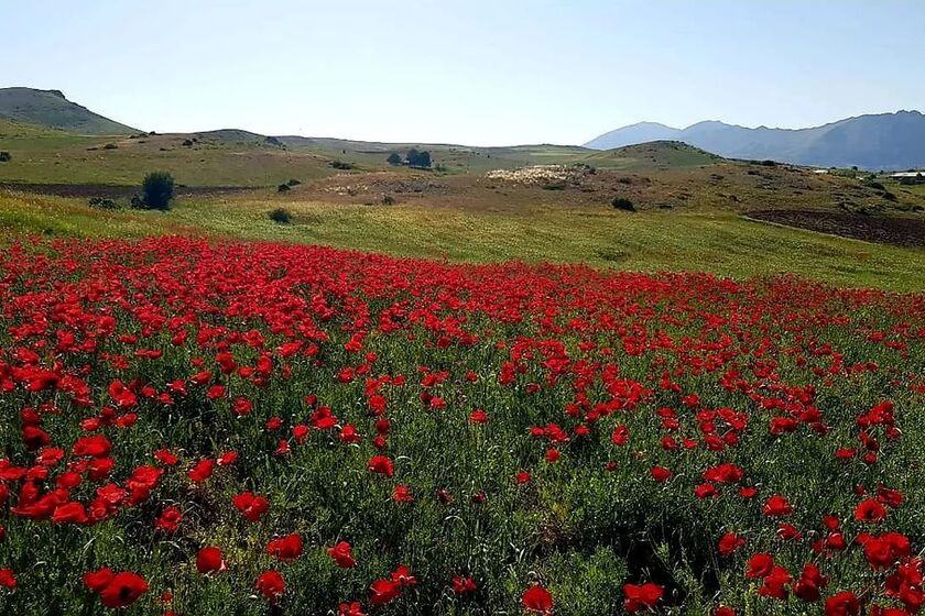 دیلمان 