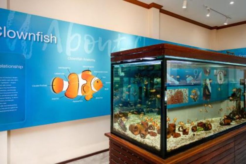 SAii Phi Phi Island Village Phuket