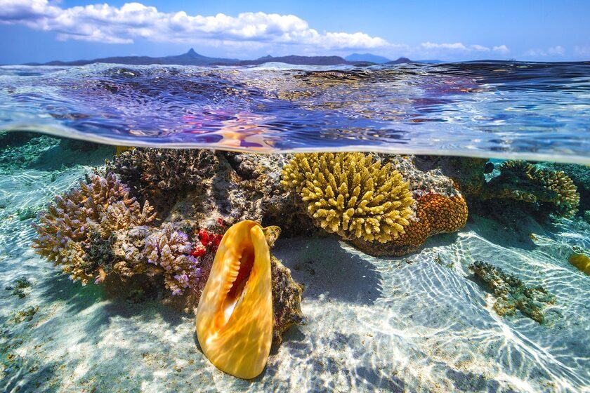 روزشمار؛ ۱۸ خرداد ماه ۱۴۰۴