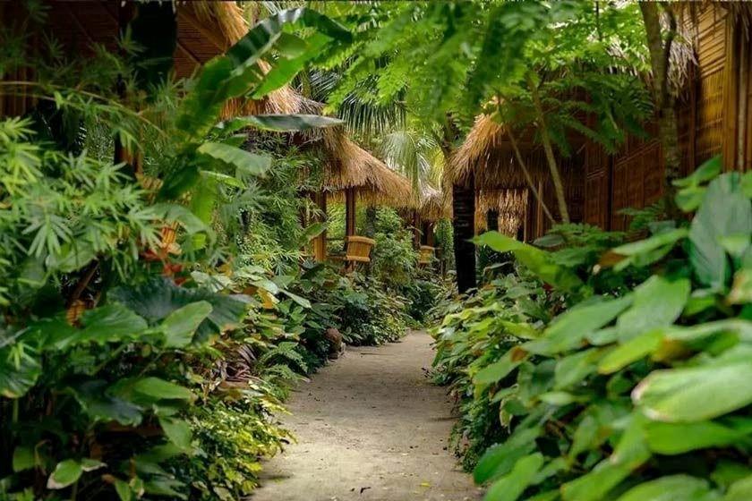 Phi Phi CoCo Beach Resort Phuket - Garden Twin