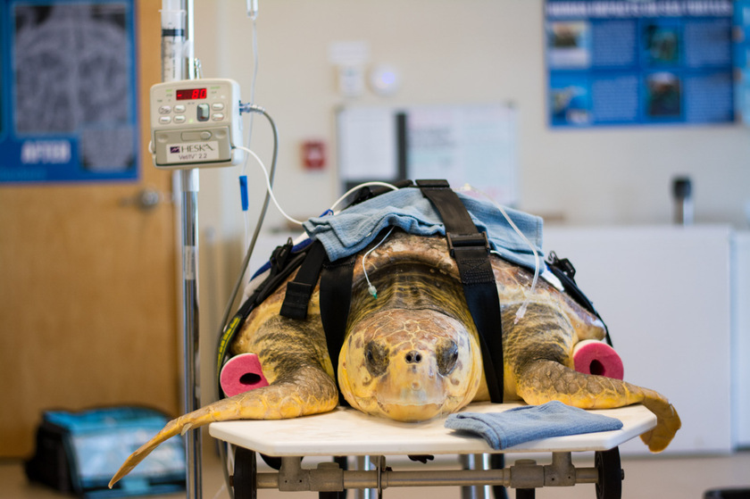 روزشمار؛ ۲ خرداد ماه ۱۴۰۴