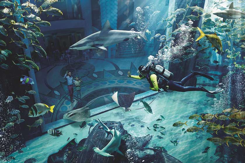 Atlantis The Palm Dubai - aquarium