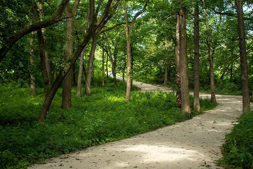 روز مسیرهای پیاده‌روی. منبع عکس: وبسایت Dupage Forest. عکاس: نامشخص