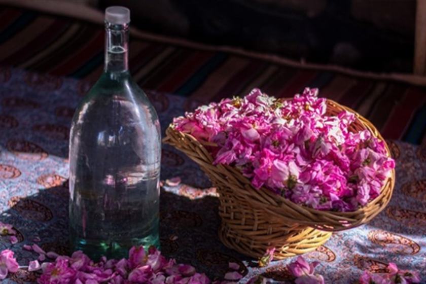 برگزاری جشنواره گلاب گیری در کاخ مروارید مهرشهر کرج