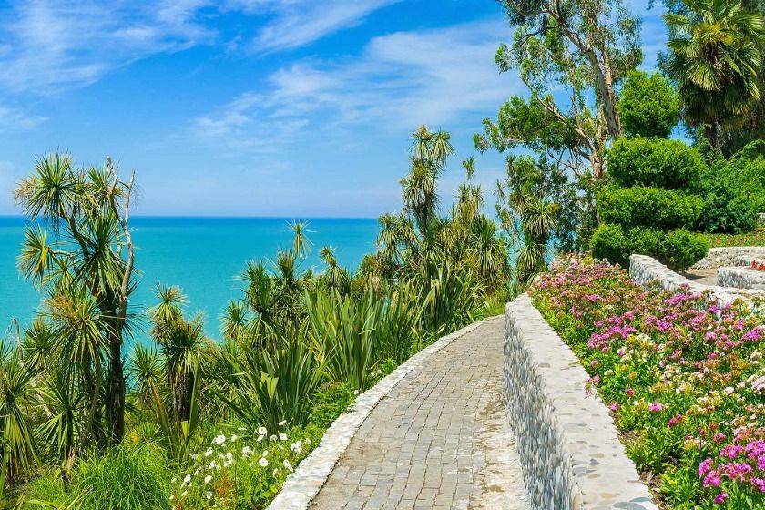 گونه های گیاهی باغ گیاهشناسی باتومی