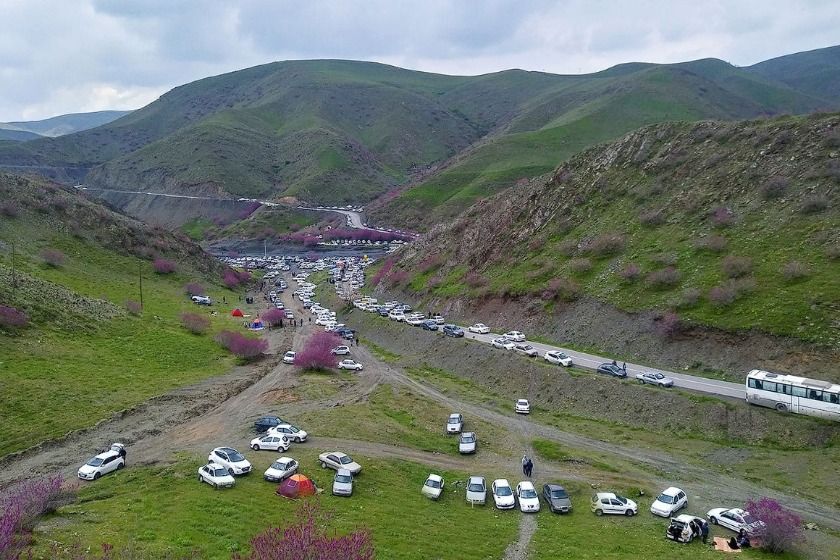 دشت ارغوان