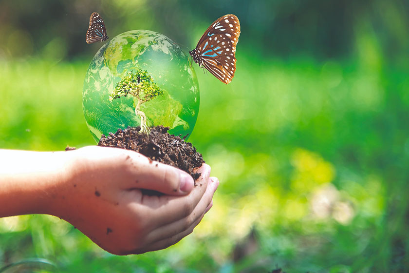روز تنوع زیستی و بیولوژیکی. منبع عکس: Naturally Sustainable. عکاس: نامشخص