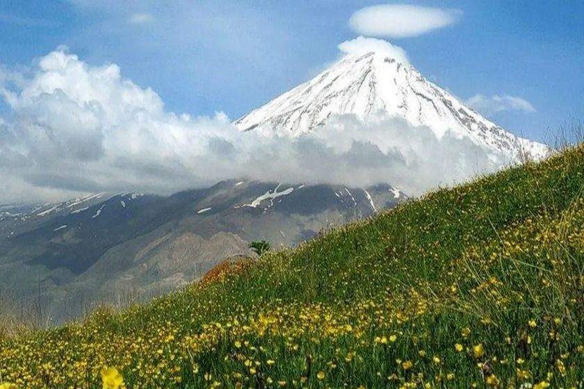 دشت آزو