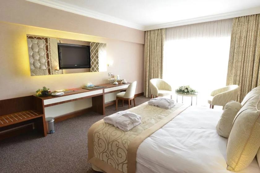 Anadolu Hotels Esenboga Thermal Ankara - Standard Double Room