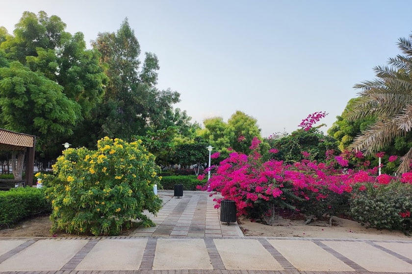 پارک خانواده