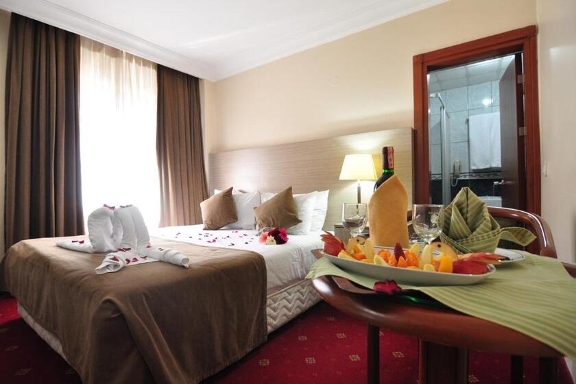Hotel Buyuk Sahinler istanbul - Double or Twin Room
