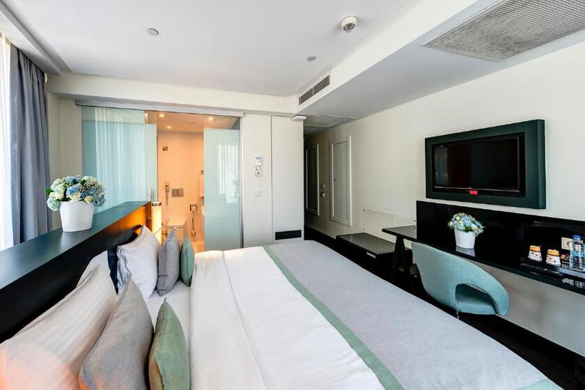The Elysium Styles Taksim istanbul - standard double room