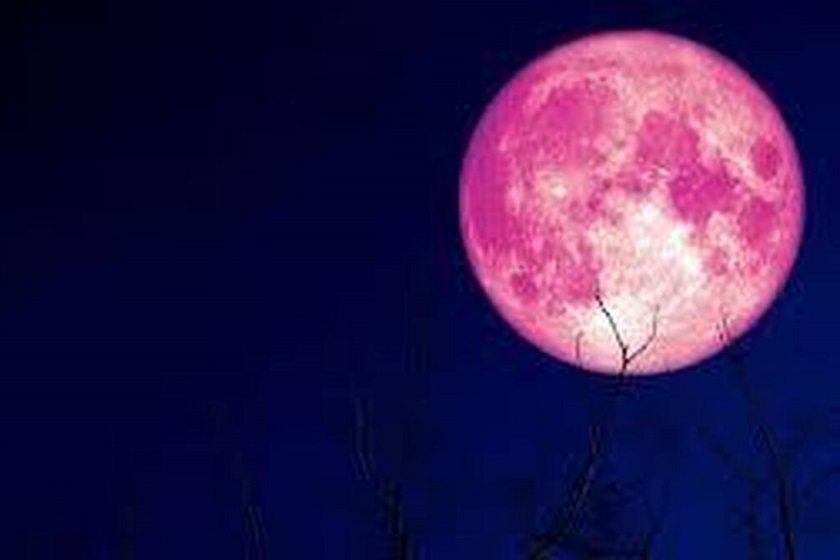 ماه صورتی خرداد ماه را از دست ندهید