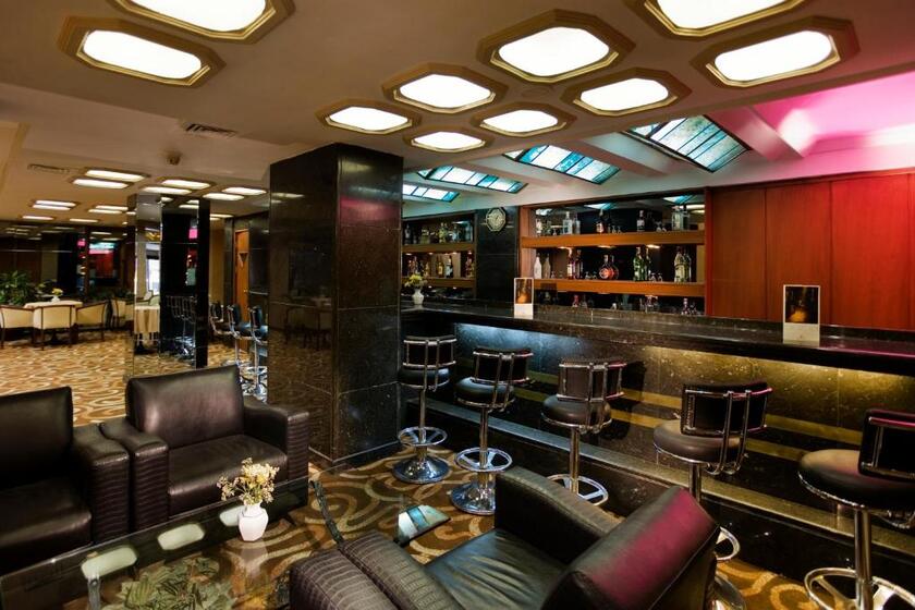 Hotel Buyuk Sahinler istanbul - lobby