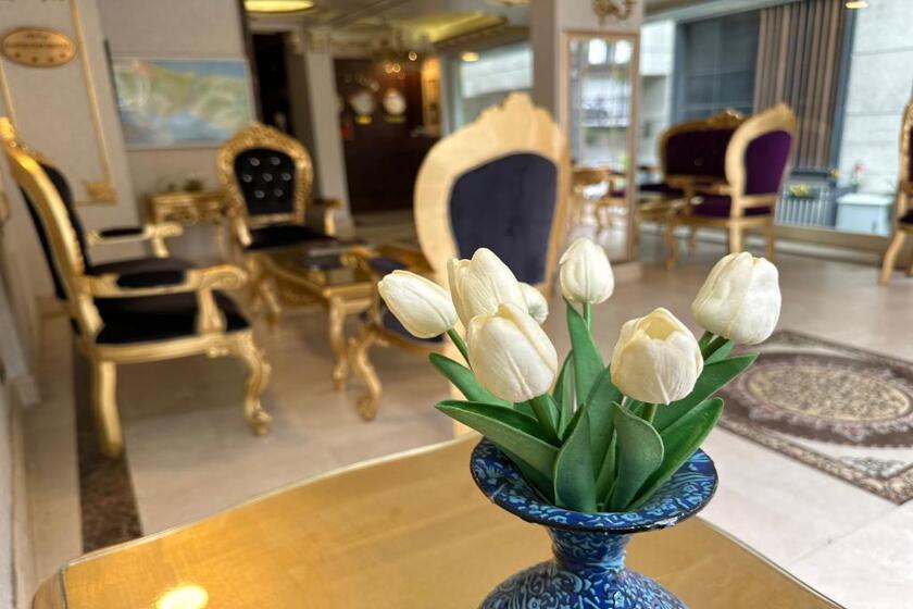 Napolyon Hotel istanbul - lobby