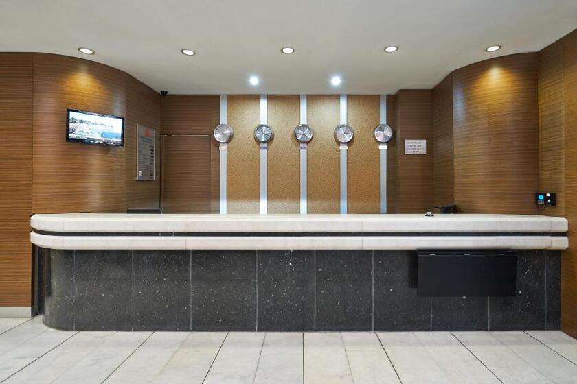 Hotel Buyuk Sahinler istanbul - reception
