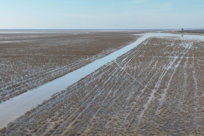 تالاب میانکاله نجات می یابد؟ اجرای طرح جامع احیا کلید خورد