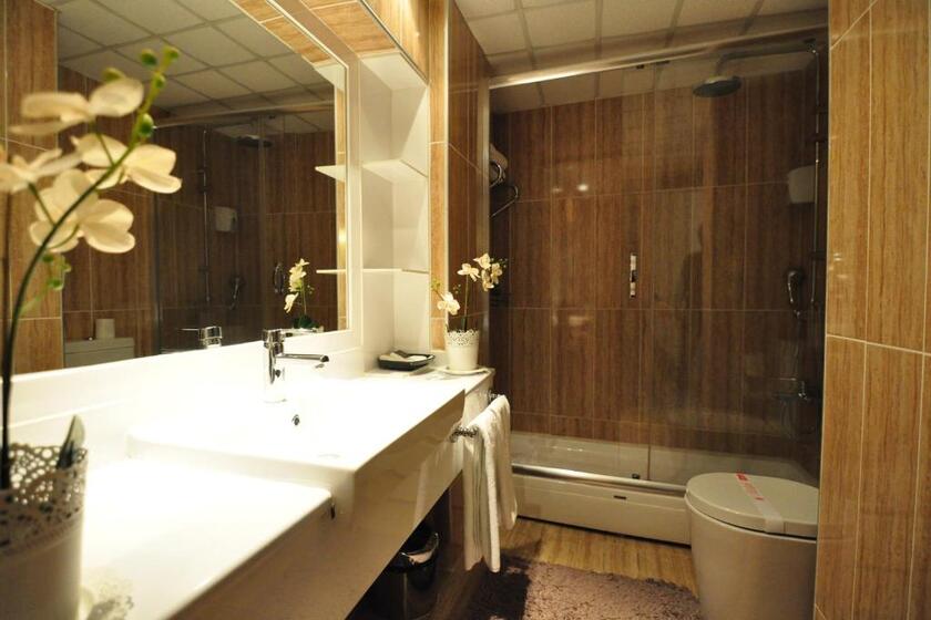 Hotel Buyuk Sahinler istanbul - Junior Suite