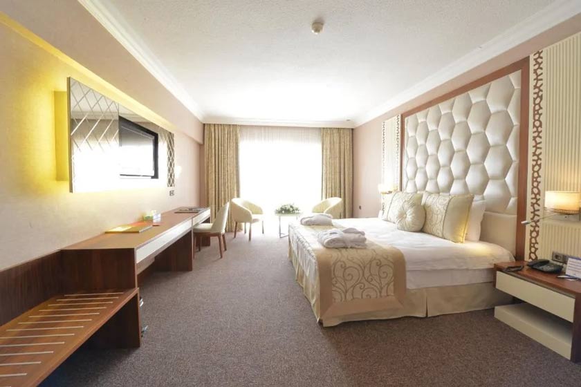 Anadolu Hotels Esenboga Thermal Ankara - Standard Double Room