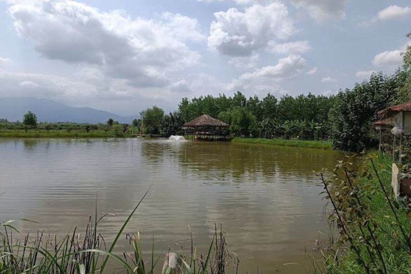 اقامتگاه بومگردی باغ ریحان لاهیجان - محوطه