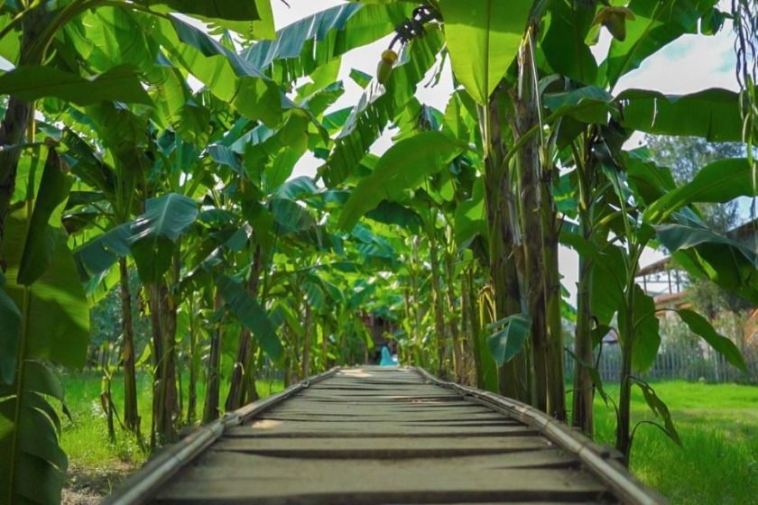 اقامتگاه بومگردی باغ ریحان لاهیجان - محوطه