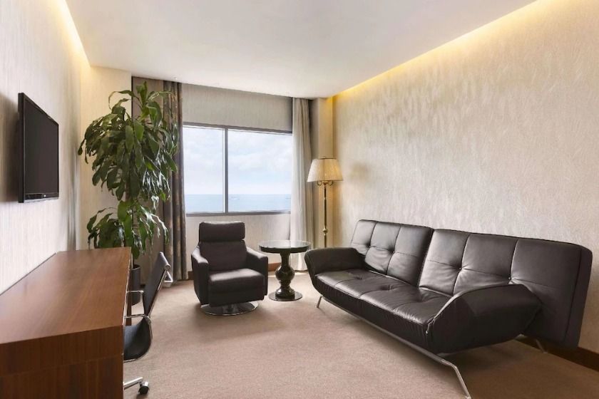 Ramada Plaza by Wyndham Istanbul Atakoy - Room