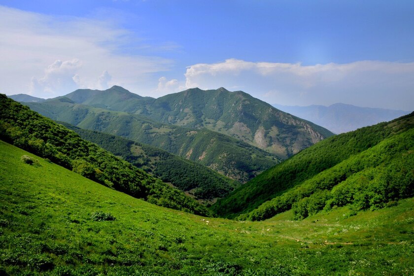 جنگل ارسباران 