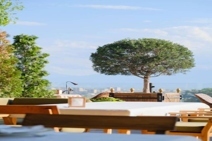 Apricot Hotel Yerevan - facade