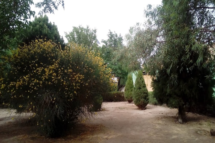 پارک بزرگ آزاد شهر یزد. منبع عکس: گوگلمپ، عکاس: امیرحسین جلالی