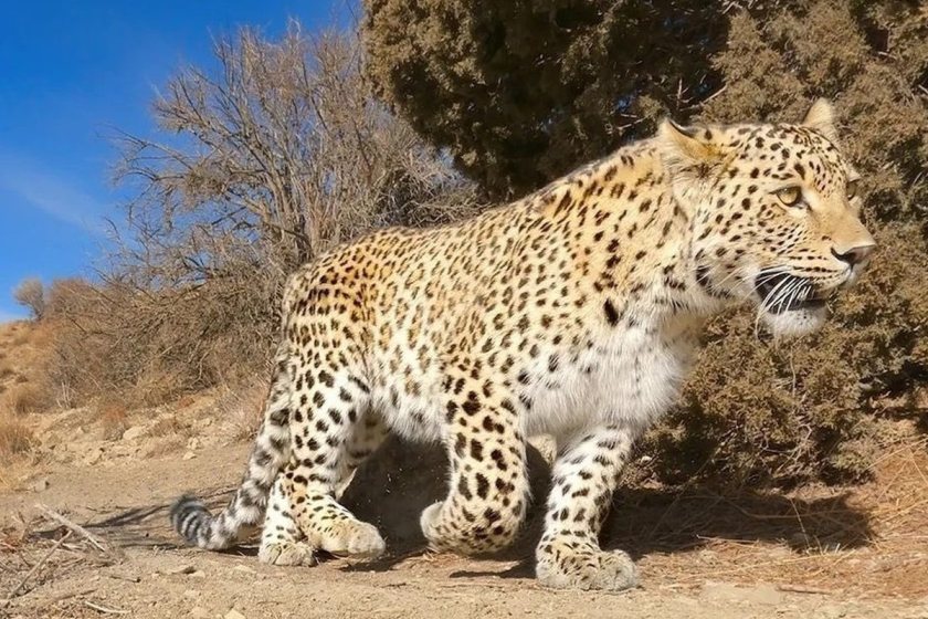 منطقه حفاظت شده گاله فارس. منبع عکس: قطره. عکاس: نامشخص