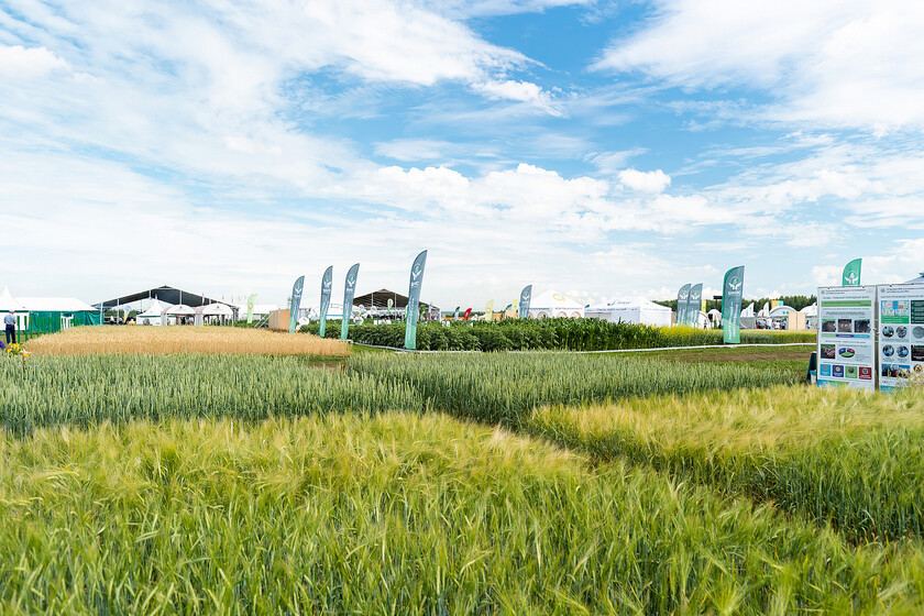 نمایشگاه آگرو ولگا کازان