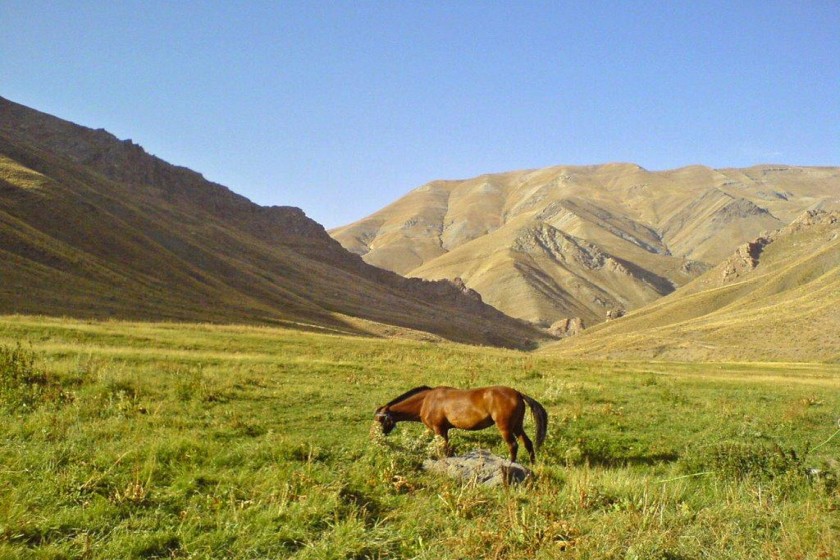 چهل چشمه شیراز. منبع عکس: راسخون. عکاس: نامشخص
