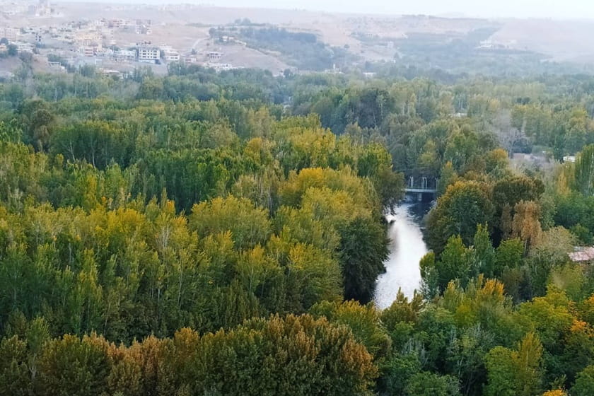 باغ بهادران