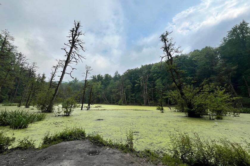 مرداب دیوک. منبع عکس: گوگلمپ. عکاس: فاطمه مهدیان