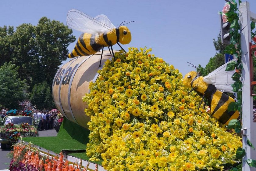 جشنواره عسل سایلی