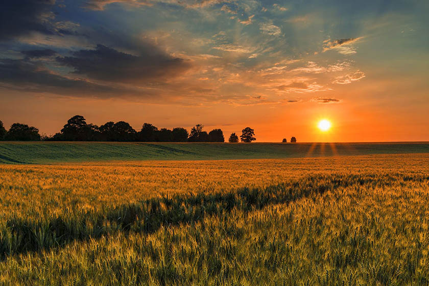 جشن چله تابستان. منبع عکس: وبسایت Farmersalmanac.Com. عکاس: نامشخص