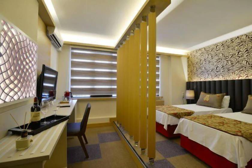 Arsima Hotel Istanbul - Standard Double or Twin Room