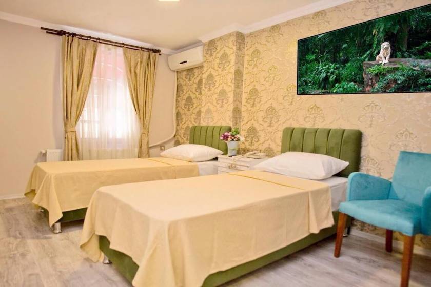 Arsima Hotel Istanbul - Standard Double or Twin Room