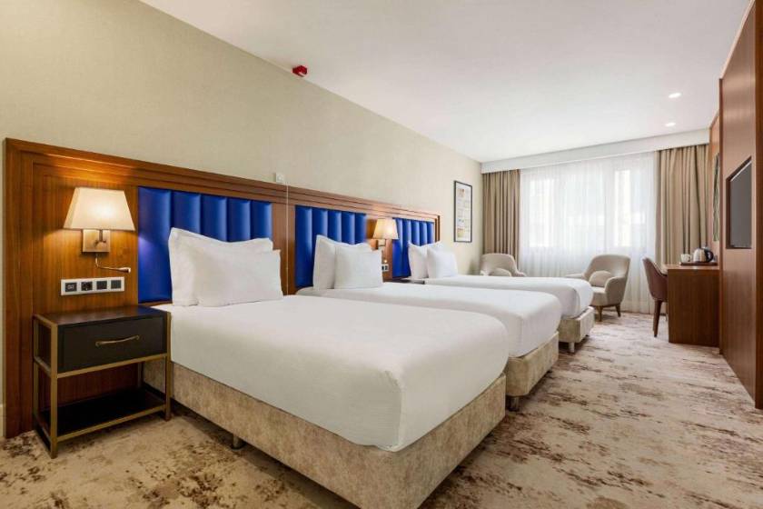 Ramada Plaza Sultanahmet By Wyndham - Deluxe Triple Room