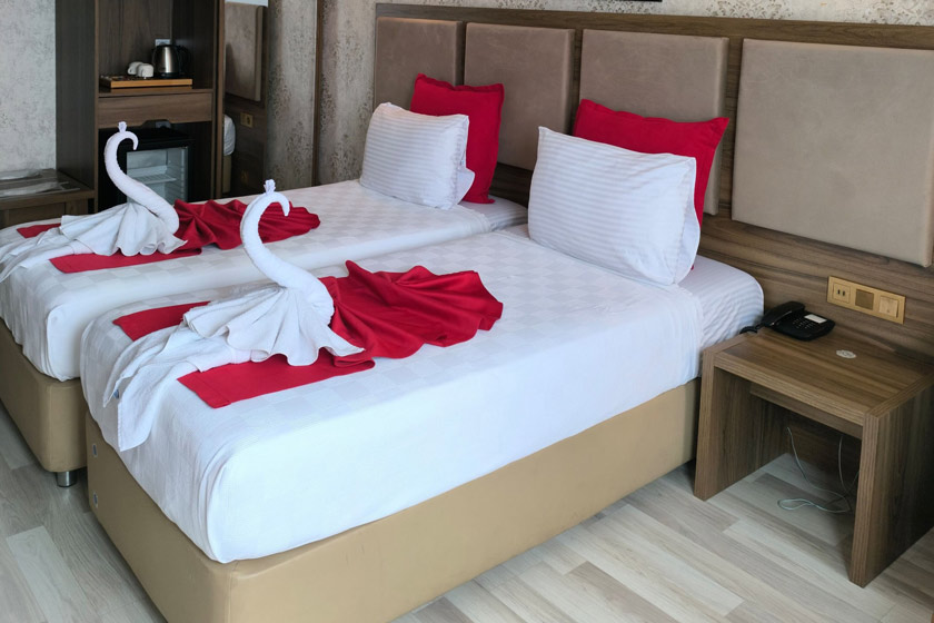 Euro Plaza Hotel Istanbul - Standard Double or Twin Room