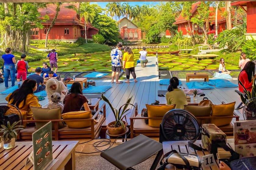 کافه ما دو بوا