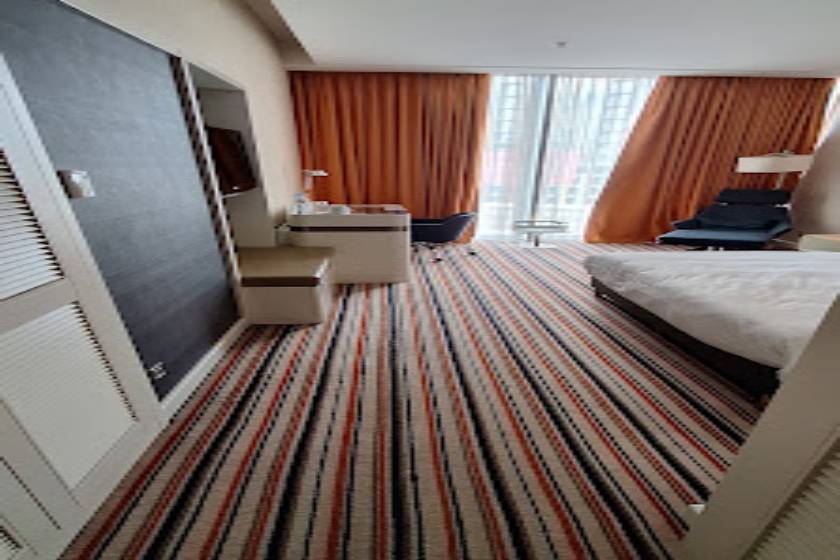 Radisson Blu Hotel Batumi - Standard Room with City View