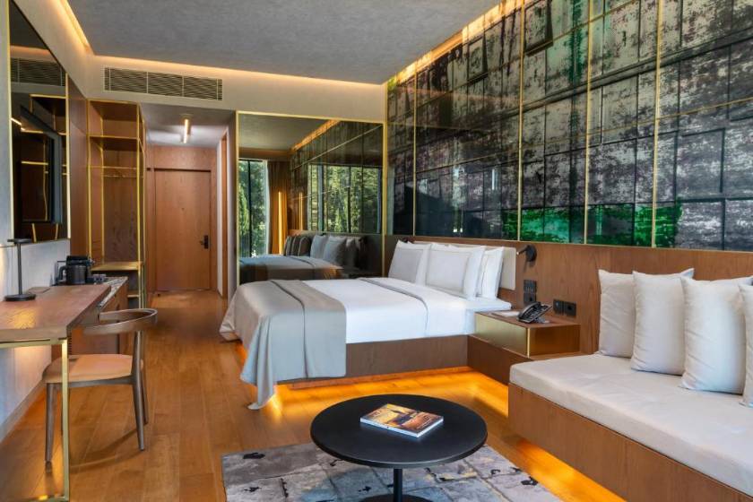 Rixos Tersane Istanbul - Premium King Room with Partial Sea View