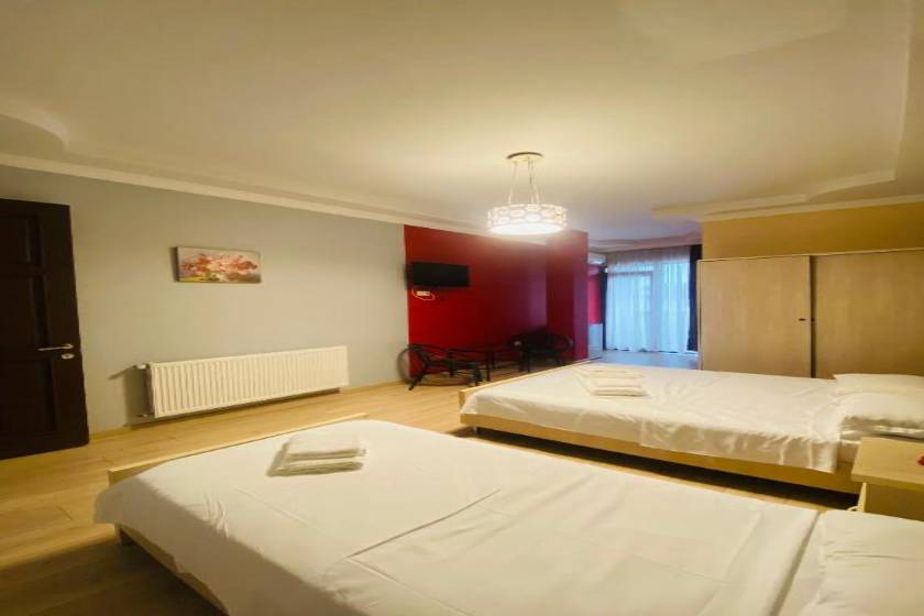 Hotel Phaliashvili - Twin Room with City View