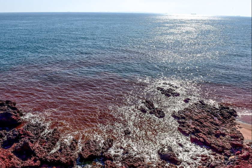 بازدید از جاذبههای ساحل نقرهای