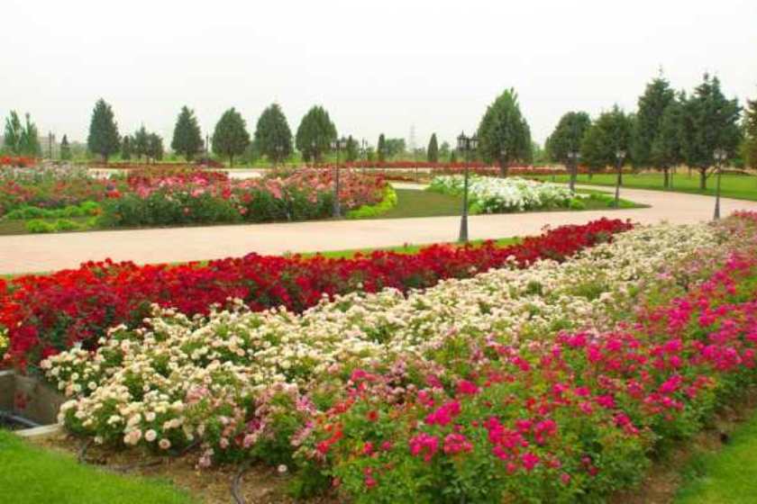 باغهای تهران