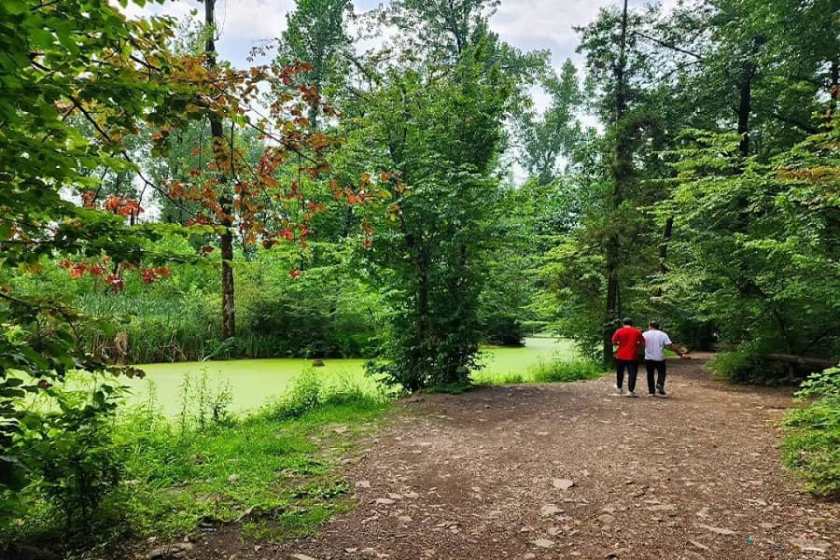 پارک جنگلی سراوان 