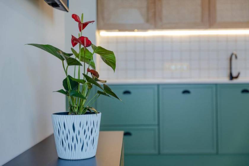 MiraMar Luxury Residences - Two-Bedroom Apartment